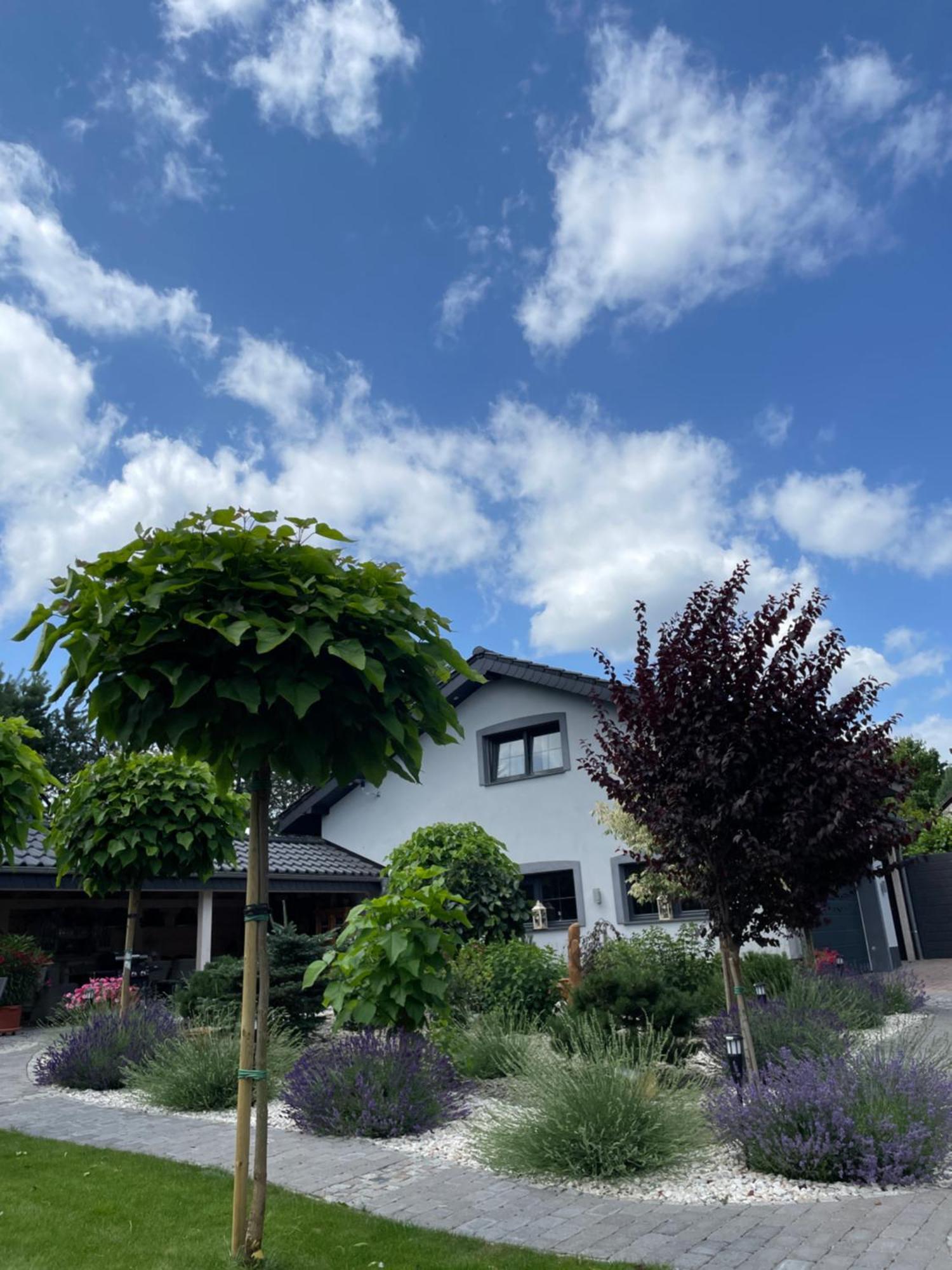 Hortus Apartament Z Klimatyzacja Boleslawiec  Exterior foto